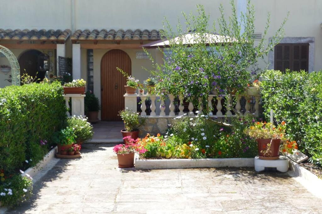 Casa Paraiso Sa Coma  Exteriér fotografie